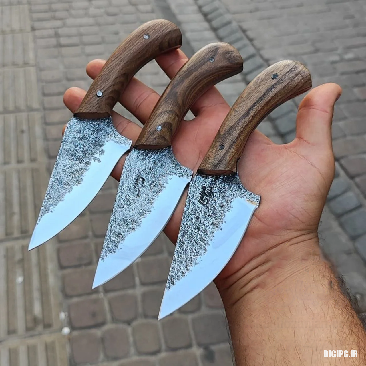 تیزی شاهی 18 سانتی تیغه فولادی با غلاف + با غلاف رایگان