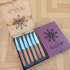 کارد میوه خوری دسته کائوچو با جعبه تیغه استیل ضدزنگ